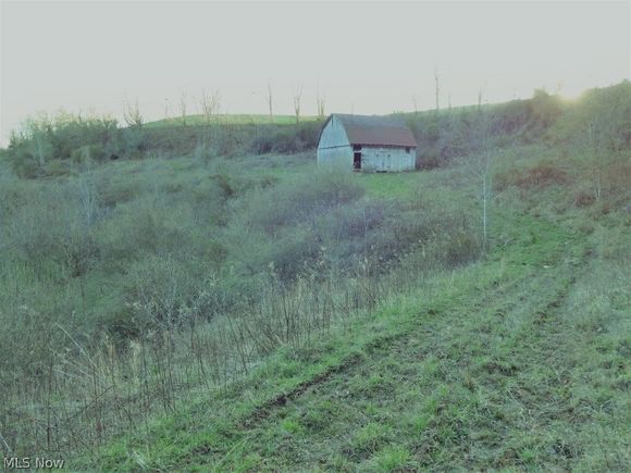 1501 Vicars Ridge Gandeeville, WV Plot of land Sold - Photo 1 of 16. Opens carousel modal