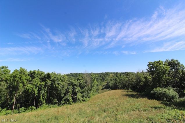 54060 Pugh Ridge Road Alledonia, OH Plot of land Sold - Photo 1 of 35. Opens carousel modal
