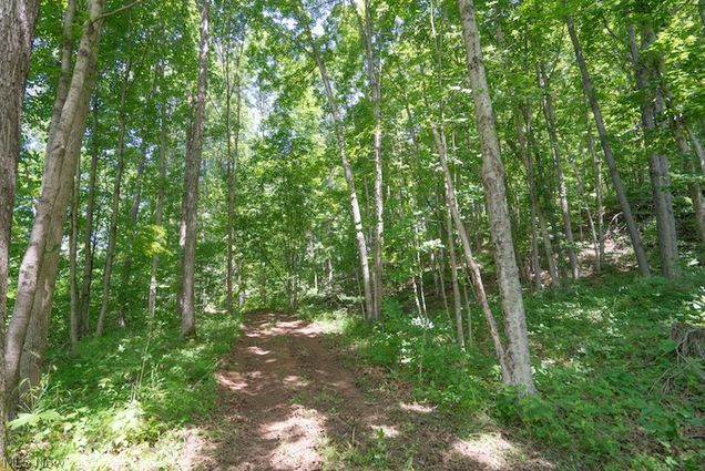 State Road 329 Amesville, OH Plot of land Sold - Photo 1 of 15. Opens carousel modal