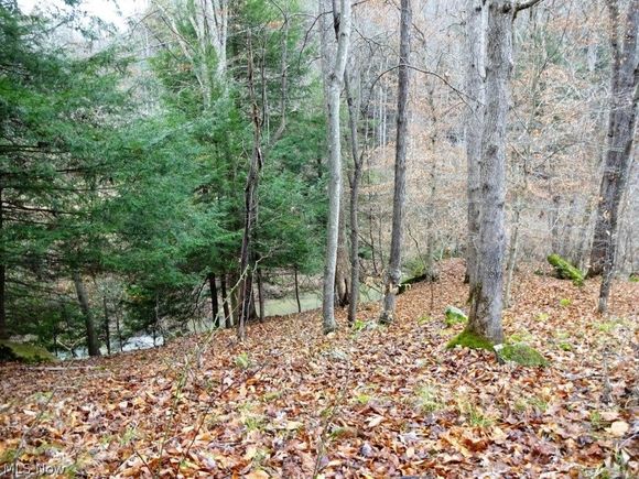 5025 Harmony Road Gandeeville, WV Plot of land Sold - Photo 1 of 12. Opens carousel modal