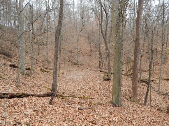 0 Oil Spring Run Petroleum, WV Plot of land Sold - Photo 1 of 18. Opens carousel modal