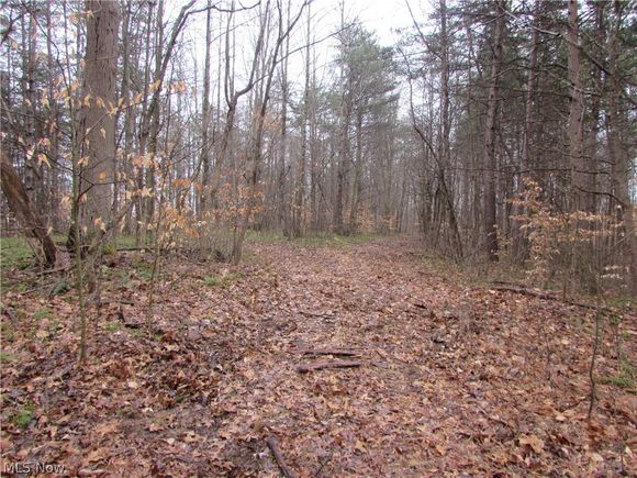 Fruit Farm Road Amesville, OH Plot of land Sold - Photo 1 of 12. Opens carousel modal