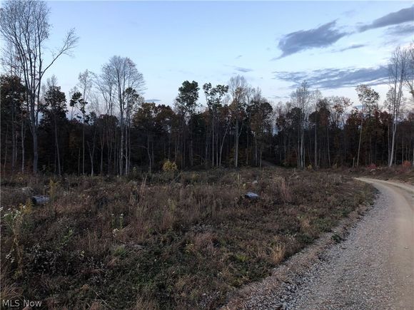 Township Road 209 Bartlett, OH Plot of land Sold - Photo 1 of 1. Opens carousel modal