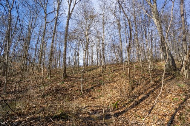 329 State Route 550 Amesville, OH Plot of land Sold - Photo 1 of 28. Opens carousel modal