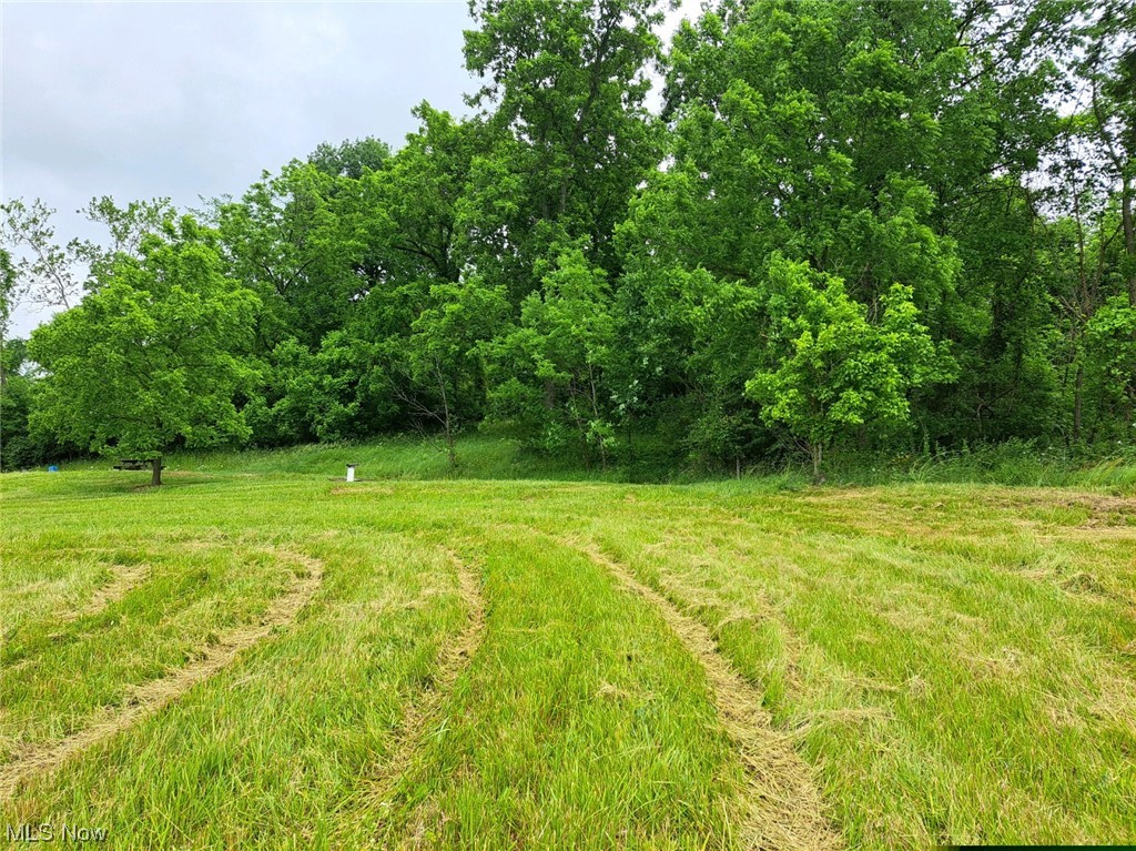20311 Leatherwood Rd  