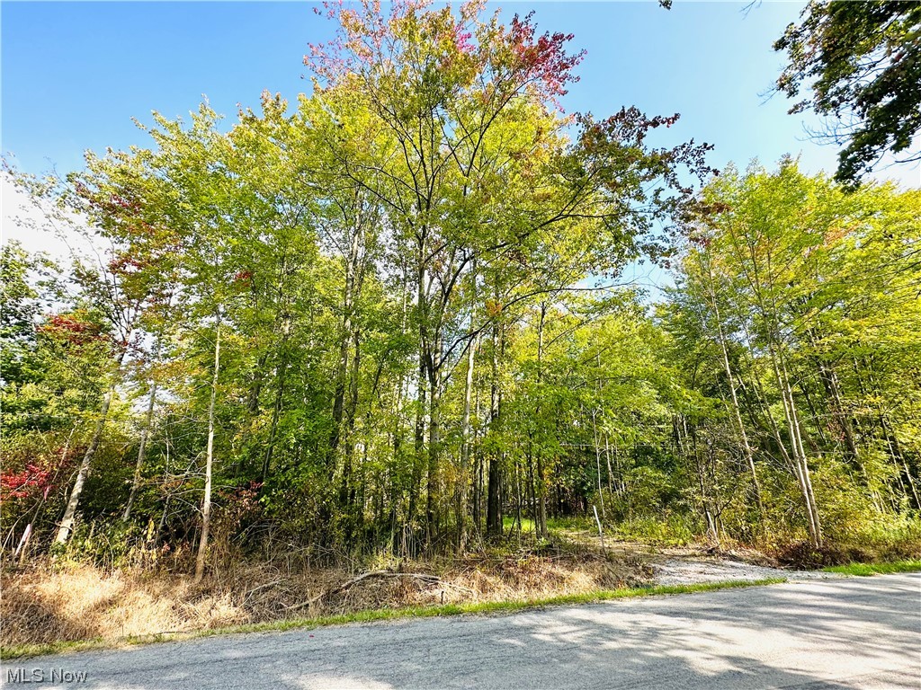 6161 Bushnell Campbell Rd  