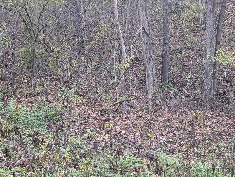 Township Road 154 NE  