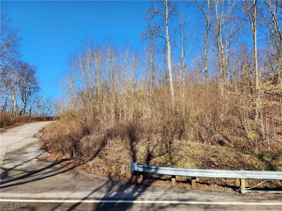 0 W Captina Highway Alledonia, OH Plot of land Sold - Photo 1 of 9. Opens carousel modal