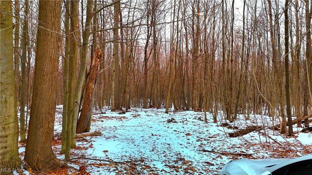 3777 S Ridge Road Kingsville, OH Plot of land Sold - Photo 1 of 48. Opens carousel modal