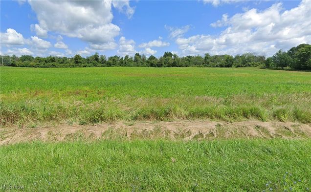 Lot #4 Chippewa Road Chippewa Lake, OH Plot of land Active - Photo 1 of 4. Opens carousel modal
