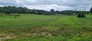 Red Tail Drive Leetonia, OH Plot of land Sold - Photo 1 of 1. Opens carousel modal