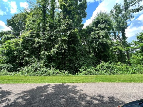 Chestnut Road Bellaire, OH Plot of land Active - Photo 1 of 11. Opens carousel modal
