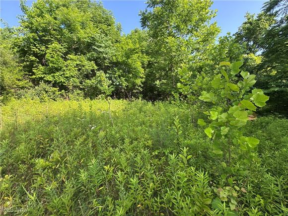 10170 Pierson Lane Mcconnelsville, OH Land Contingent - Photo 1 of 11. Opens carousel modal