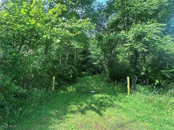 Failer Street East Palestine, OH Plot of land Active - Photo 1 of 4. Opens carousel modal
