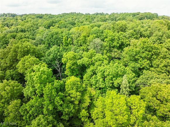 6991 Township Road 555 Holmesville, OH Land Pending - Photo 1 of 2. Opens carousel modal