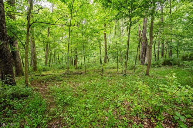 6991 Township Road 555 Holmesville, OH Land Pending - Photo 1 of 3. Opens carousel modal