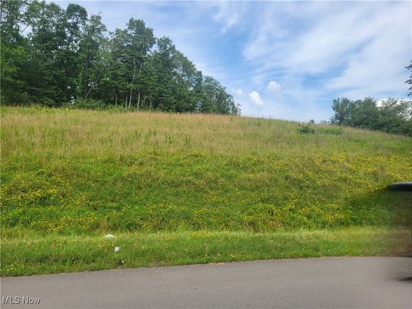 E Market And Country Club Rd Street Cadiz, OH Plot of land Active - Photo 1 of 3. Opens carousel modal