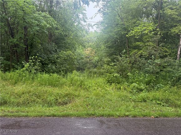 Mahan Denman Road NE Bristolville, OH Plot of land Active - Photo 1 of 2. Opens carousel modal