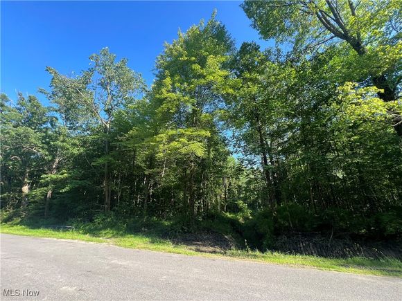 Gibbs Road Andover, OH Plot of land Active - Photo 1 of 1. Opens carousel modal