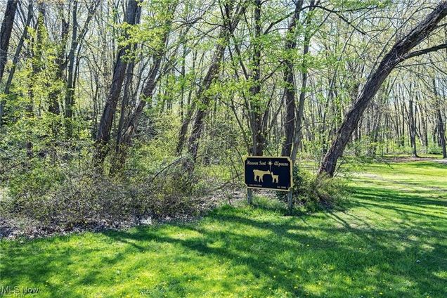 V/L Townline Road North Perry, OH Plot of land Active - Photo 1 of 24. Opens carousel modal