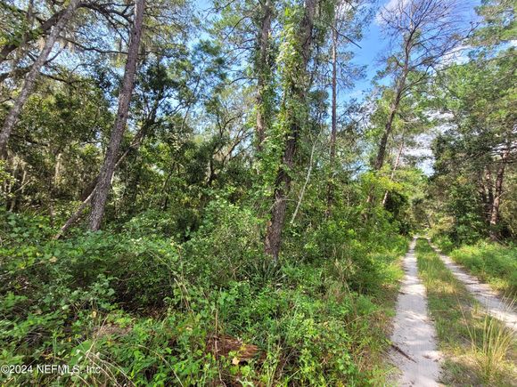124 Pleasant Drive Crescent City, FL Plot of land Active - Photo 1 of 11. Opens carousel modal
