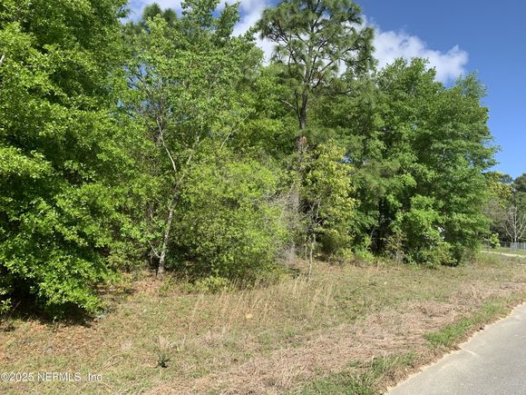 000 Istanbul Street Interlachen, FL Plot of land Active - Photo 1 of 7. Opens carousel modal
