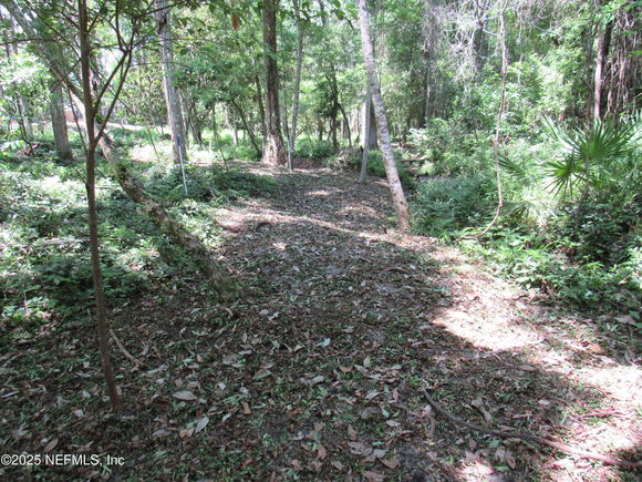 0 Myron Court Fruit Cove, FL Plot of land Active - Photo 1 of 11. Opens carousel modal