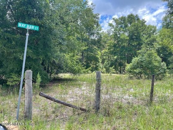 0 Ashley Lake Drive Melrose, FL Plot of land Active - Photo 1 of 3. Opens carousel modal