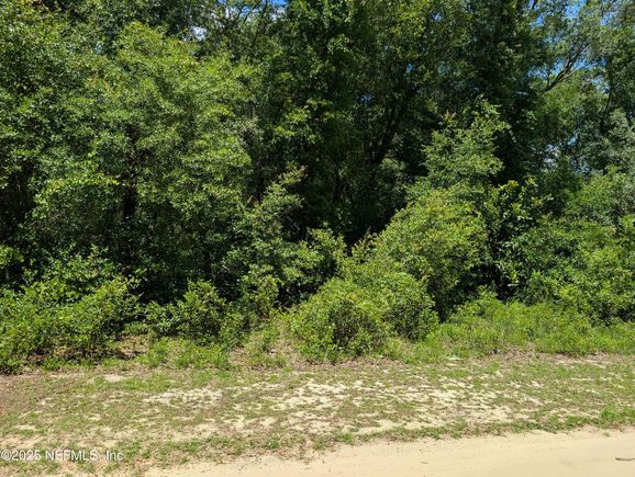 0 1550 Pine Road Interlachen, FL Plot of land Active - Photo 1 of 3. Opens carousel modal
