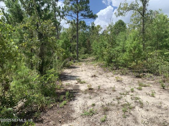 403 Lily Trail Interlachen, FL Plot of land Active - Photo 1 of 11. Opens carousel modal
