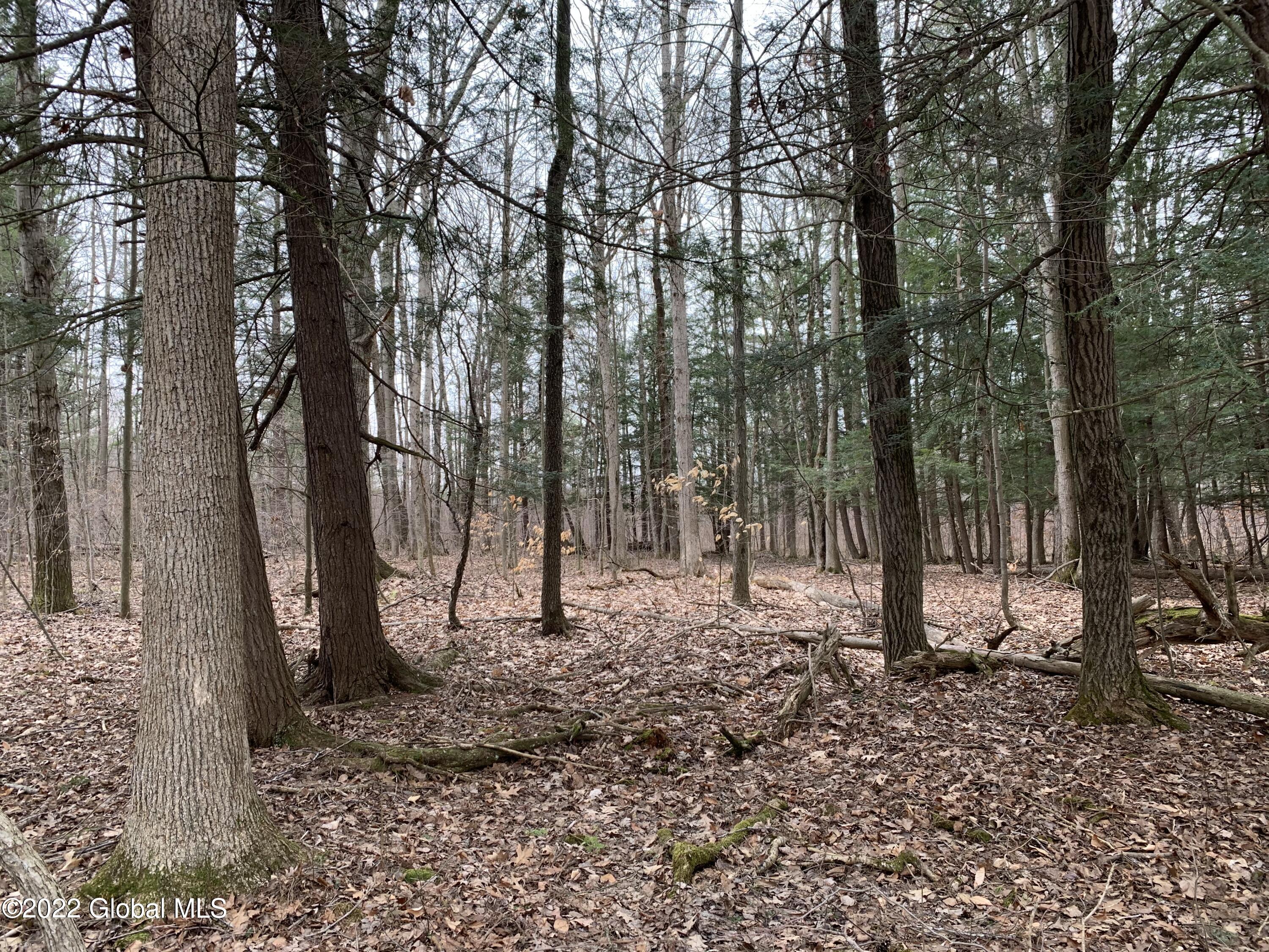 1372 Lot 3 Logtown Rd  