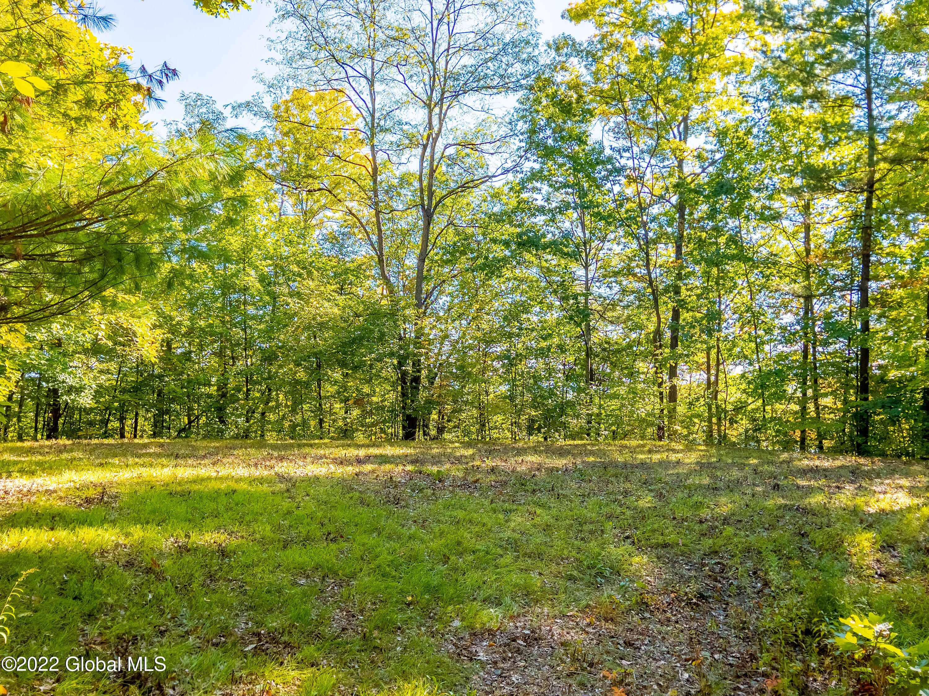 461 Settles Hl Rd  