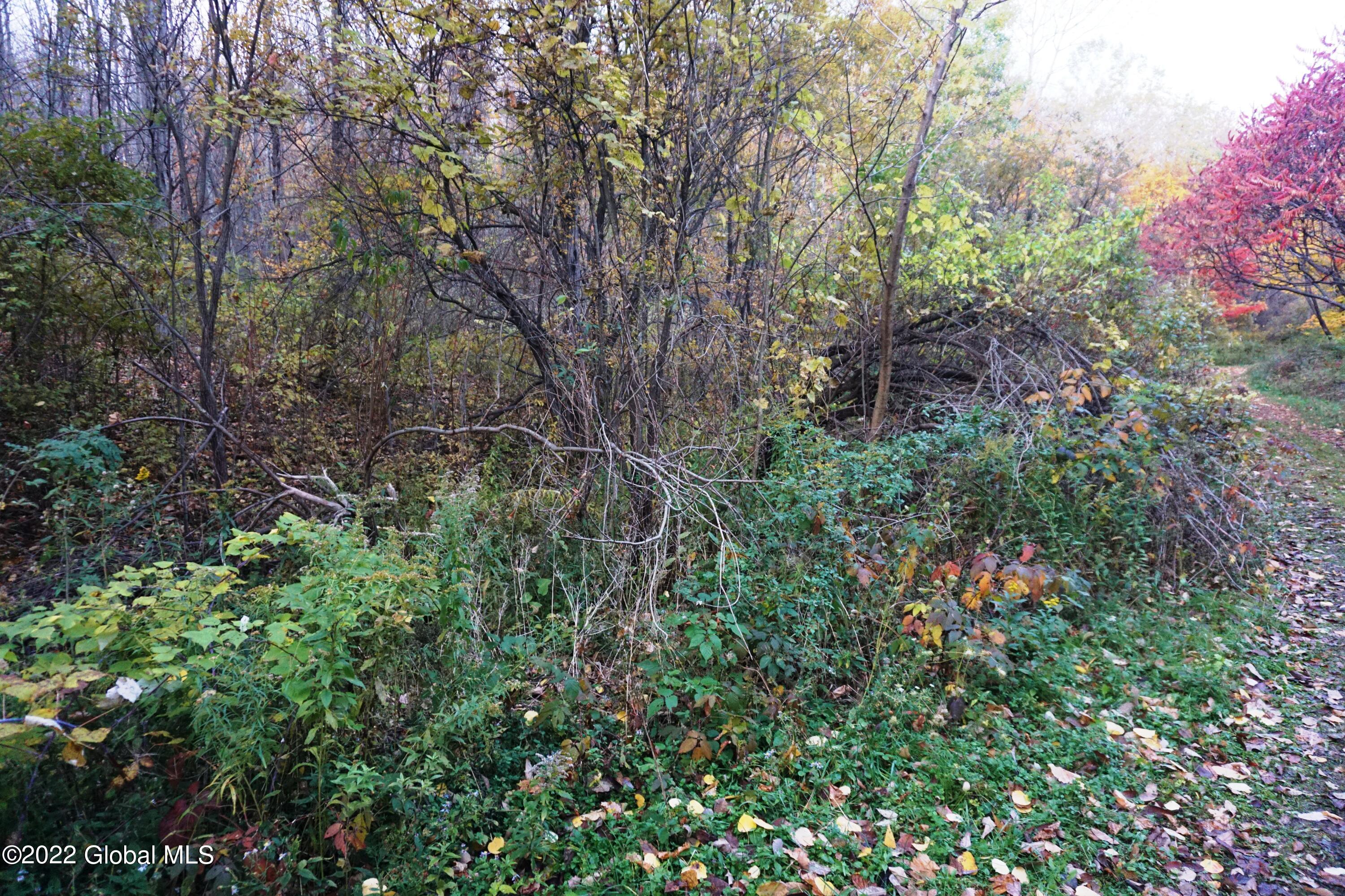 0 Lot 1 Off Ploss Rd  