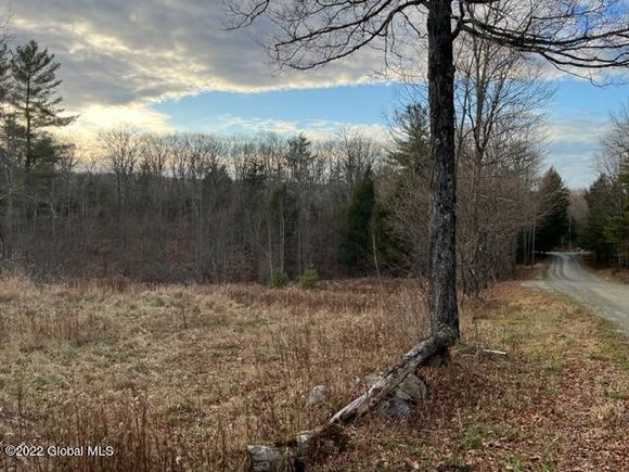 315 Black River Road Stephentown, NY Plot of land Sold - Photo 1 of 9. Opens carousel modal