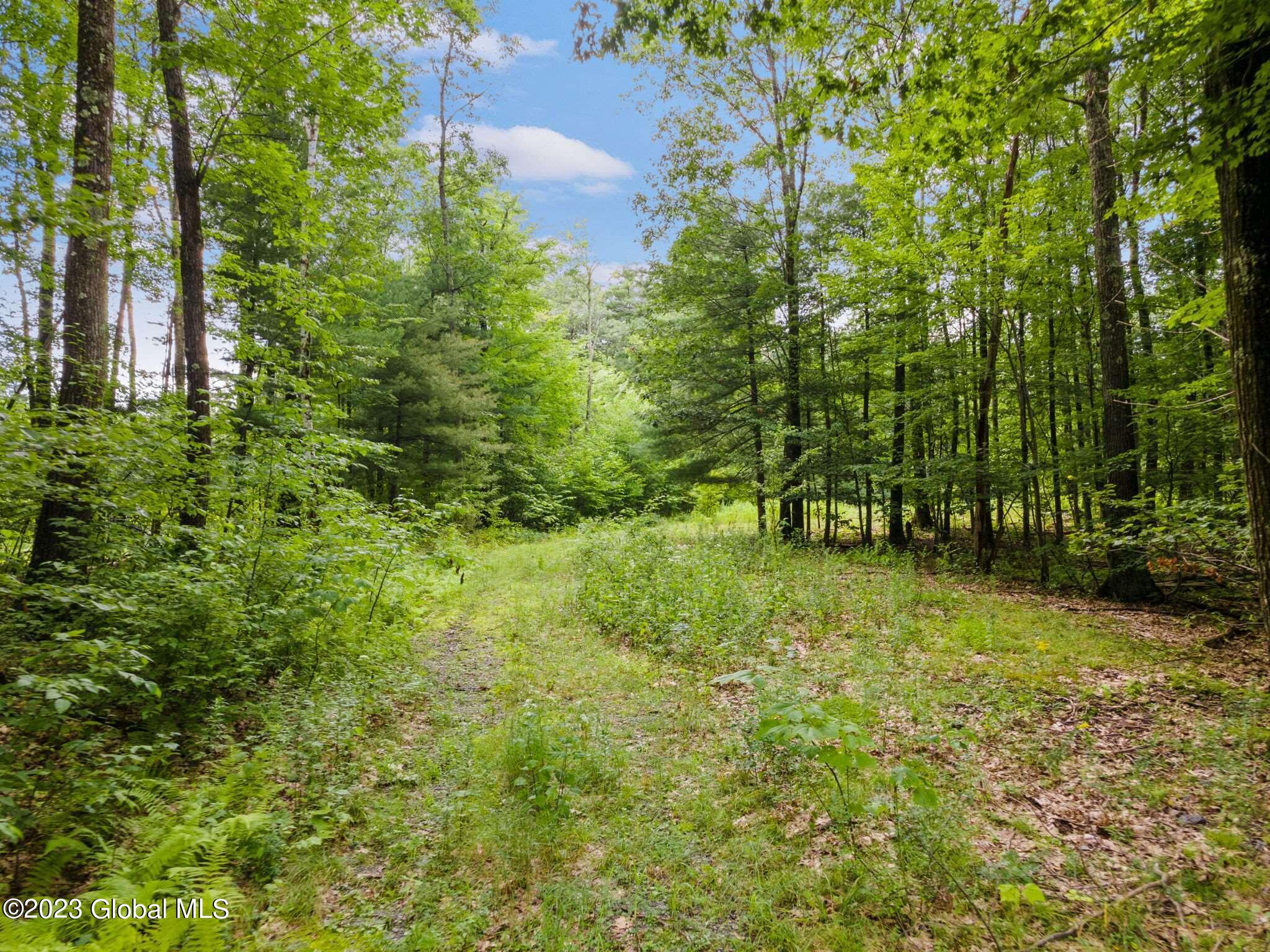 101 Mcgill Rd  