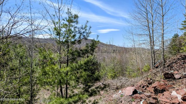 L3.5 County Route 24/E Off Granville, NY Plot of land Active - Photo 1 of 7. Opens carousel modal