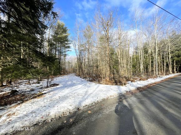 15 Walk Road Sand Lake, NY Plot of land Sold - Photo 1 of 10. Opens carousel modal