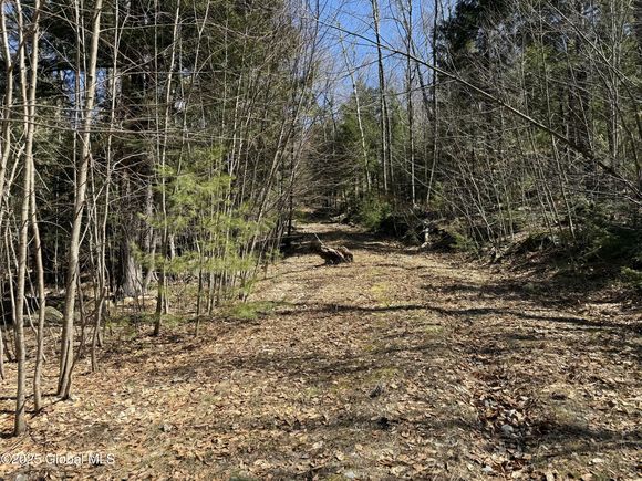 502 Howe Road Lake Luzerne, NY Plot of land Sold - Photo 1 of 23. Opens carousel modal