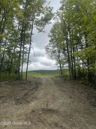 40 Plante Lane Troy, NY Plot of land Sold - Photo 1 of 1. Opens carousel modal
