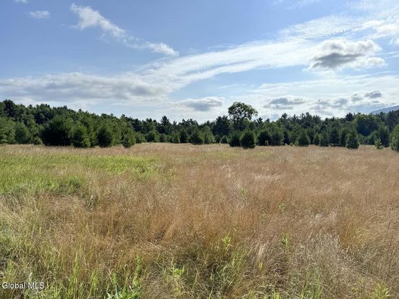 171 Trumbulls Road Jay, NY Plot of land Active - Photo 1 of 5. Opens carousel modal