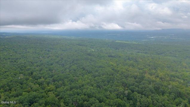 181 Liddle Road Unit Lot 2 Duanesburg, NY Plot of land Active - Photo 1 of 8. Opens carousel modal
