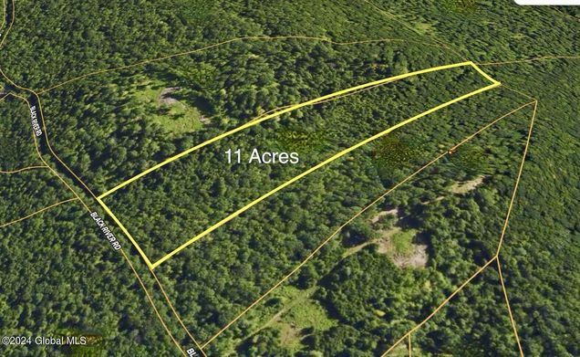 L3.2 Black River Road Stephentown, NY Plot of land Active - Photo 1 of 14. Opens carousel modal