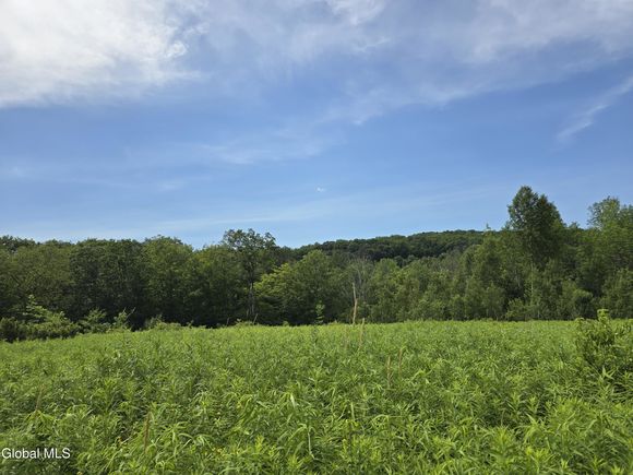0 East Road Stephentown, NY Plot of land Active - Photo 1 of 5. Opens carousel modal