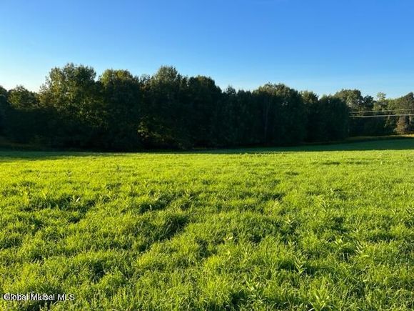 L32.08 Ouleout Road Pittsfield, NY Plot of land Active - Photo 1 of 8. Opens carousel modal
