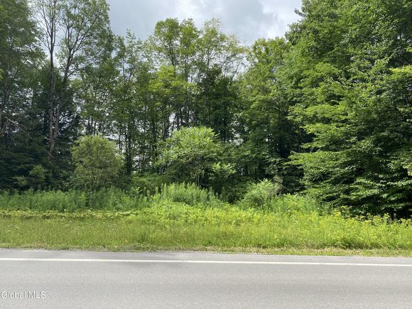 L 43 State Highway 67 Ephratah, NY Plot of land Active - Photo 1 of 12. Opens carousel modal
