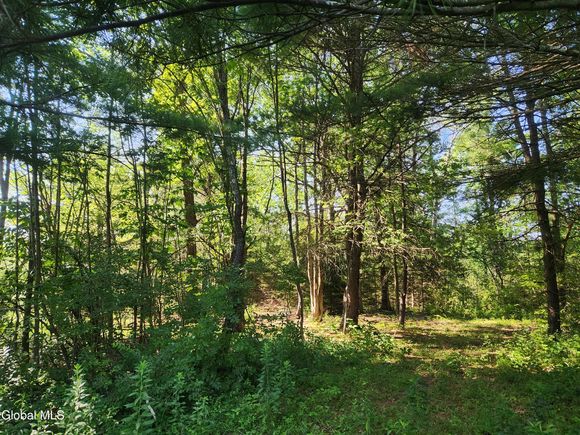 Lot 4 Skyline Drive Delanson, NY Plot of land Active - Photo 1 of 2. Opens carousel modal