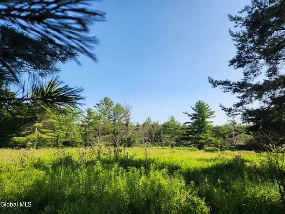 Lot 30 Skyline Drive Delanson, NY Plot of land Active - Photo 1 of 5. Opens carousel modal