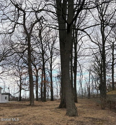 323 E Madison Avenue Rensselaer, NY Plot of land Active - Photo 1 of 1. Opens carousel modal