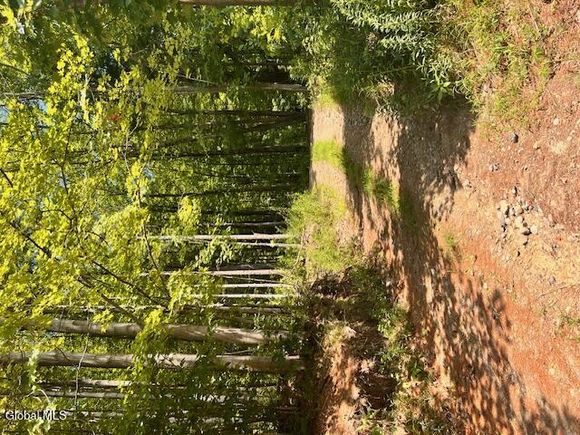 L7.41 Summit Lake Road Argyle, NY Plot of land Active - Photo 1 of 13. Opens carousel modal