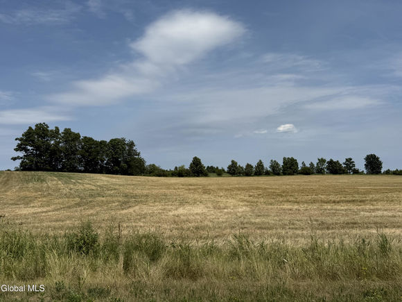 L4/6 Shanahan Road Ticonderoga, NY Plot of land Active - Photo 1 of 10. Opens carousel modal